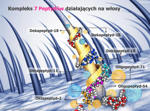 Dr CYJ Śląsk, na Śląsku